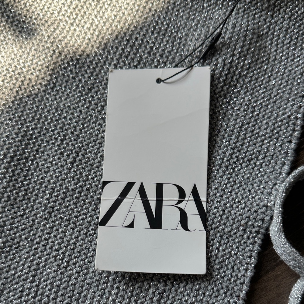 Zara Metallic Gray Knit Top